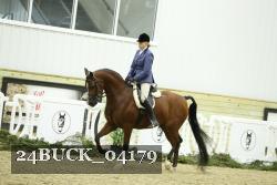 24BUCK_04179 thumbnail