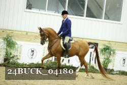 24BUCK_04180 thumbnail