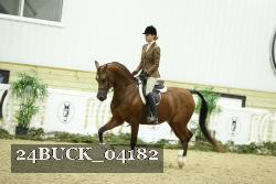 24BUCK_04182 thumbnail