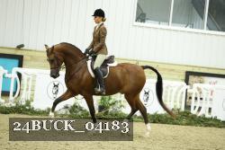 24BUCK_04183 thumbnail