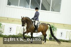 24BUCK_04186 thumbnail