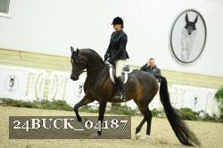 24BUCK_04187 thumbnail