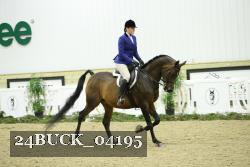 24BUCK_04195 thumbnail