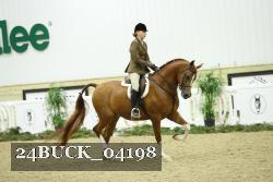 24BUCK_04198 thumbnail