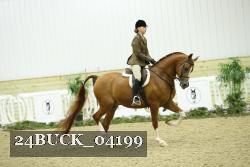 24BUCK_04199 thumbnail