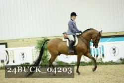 24BUCK_04203 thumbnail