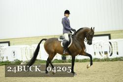 24BUCK_04205 thumbnail