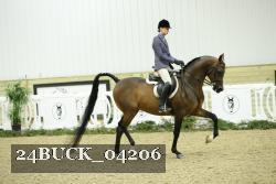 24BUCK_04206 thumbnail