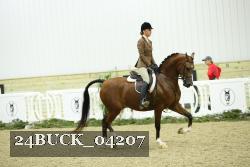 24BUCK_04207 thumbnail