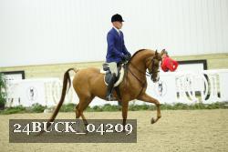 24BUCK_04209 thumbnail
