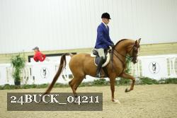 24BUCK_04211 thumbnail