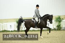 24BUCK_04214 thumbnail