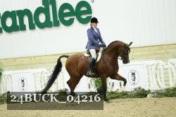 24BUCK_04216 thumbnail