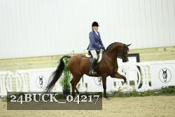 24BUCK_04217 thumbnail