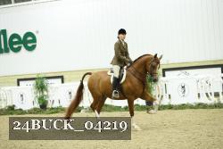 24BUCK_04219 thumbnail
