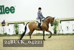 24BUCK_04221 thumbnail