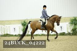 24BUCK_04222 thumbnail