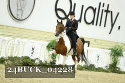 24BUCK_04228 thumbnail