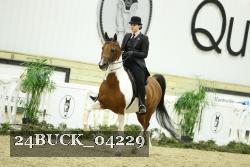 24BUCK_04229 thumbnail