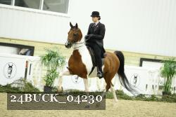 24BUCK_04230 thumbnail
