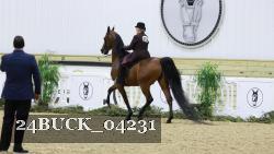 24BUCK_04231 thumbnail