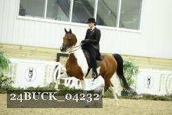 24BUCK_04232 thumbnail