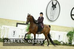 24BUCK_04233 thumbnail