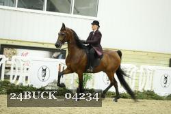 24BUCK_04234 thumbnail
