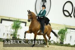 24BUCK_04236 thumbnail
