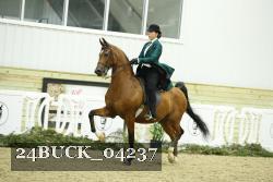 24BUCK_04237 thumbnail
