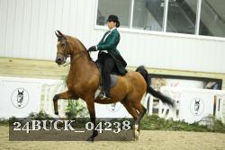 24BUCK_04238 thumbnail