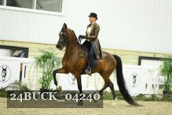 24BUCK_04240 thumbnail