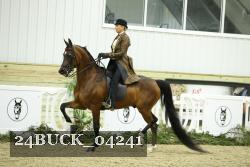 24BUCK_04241 thumbnail