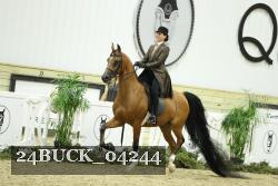 24BUCK_04244 thumbnail