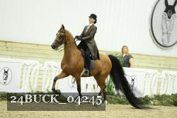 24BUCK_04245 thumbnail