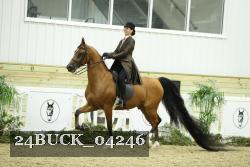 24BUCK_04246 thumbnail