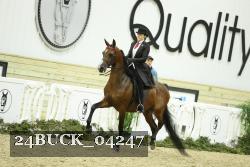 24BUCK_04247 thumbnail