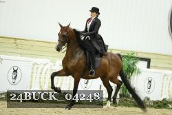 24BUCK_04248 thumbnail