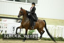 24BUCK_04249 thumbnail