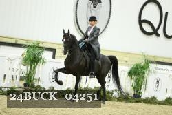 24BUCK_04251 thumbnail