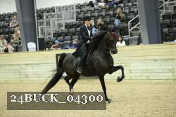 24BUCK_04300 thumbnail