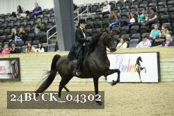 24BUCK_04302 thumbnail
