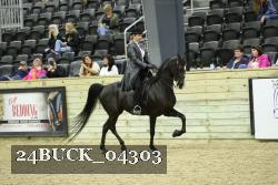 24BUCK_04303 thumbnail