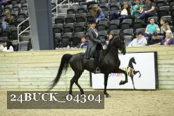 24BUCK_04304 thumbnail
