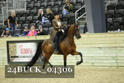 24BUCK_04306 thumbnail