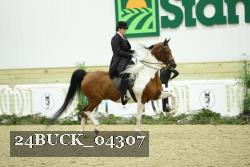 24BUCK_04307 thumbnail