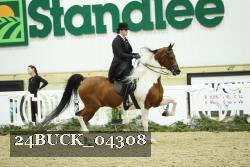 24BUCK_04308 thumbnail