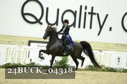24BUCK_04318 thumbnail