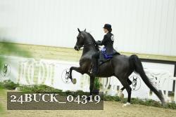 24BUCK_04319 thumbnail