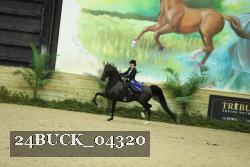 24BUCK_04320 thumbnail